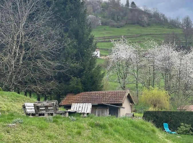 Lejlighed De La Belette_montagne De La Bresse *
